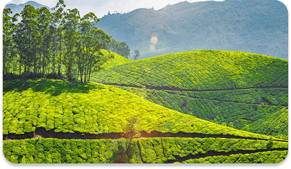 Mount Abu, Rajasthan โ The coolest oasis only half a day away